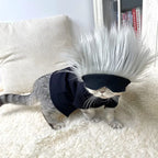 Gojo Satoru Cat Cosplay Costume by Zoomies & Co