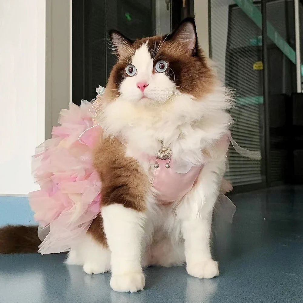 Gorgeous Butterfly Skirt for Pets