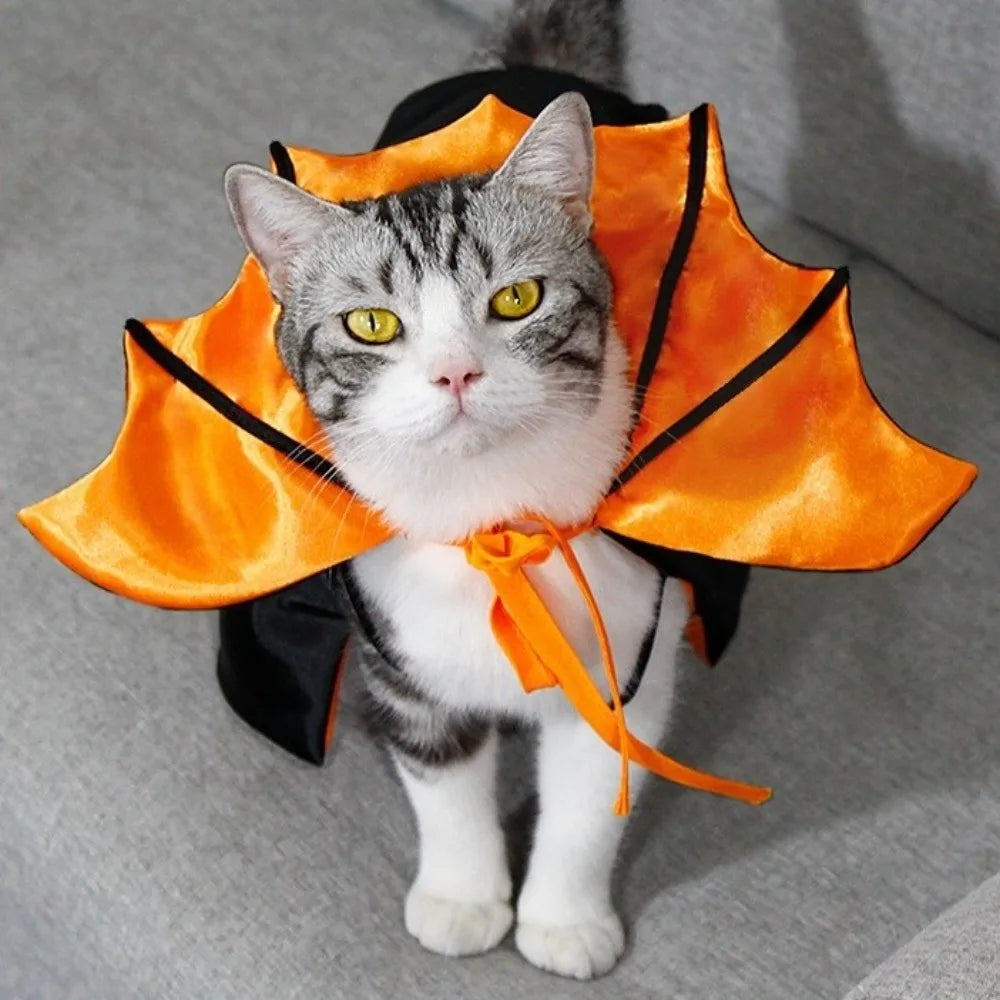 Halloween Cat Costume Bat Cloak