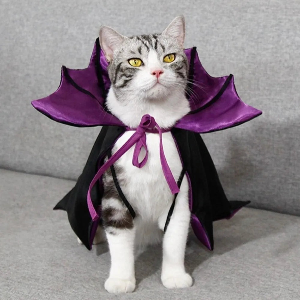 Halloween Cat Costume Bat Cloak