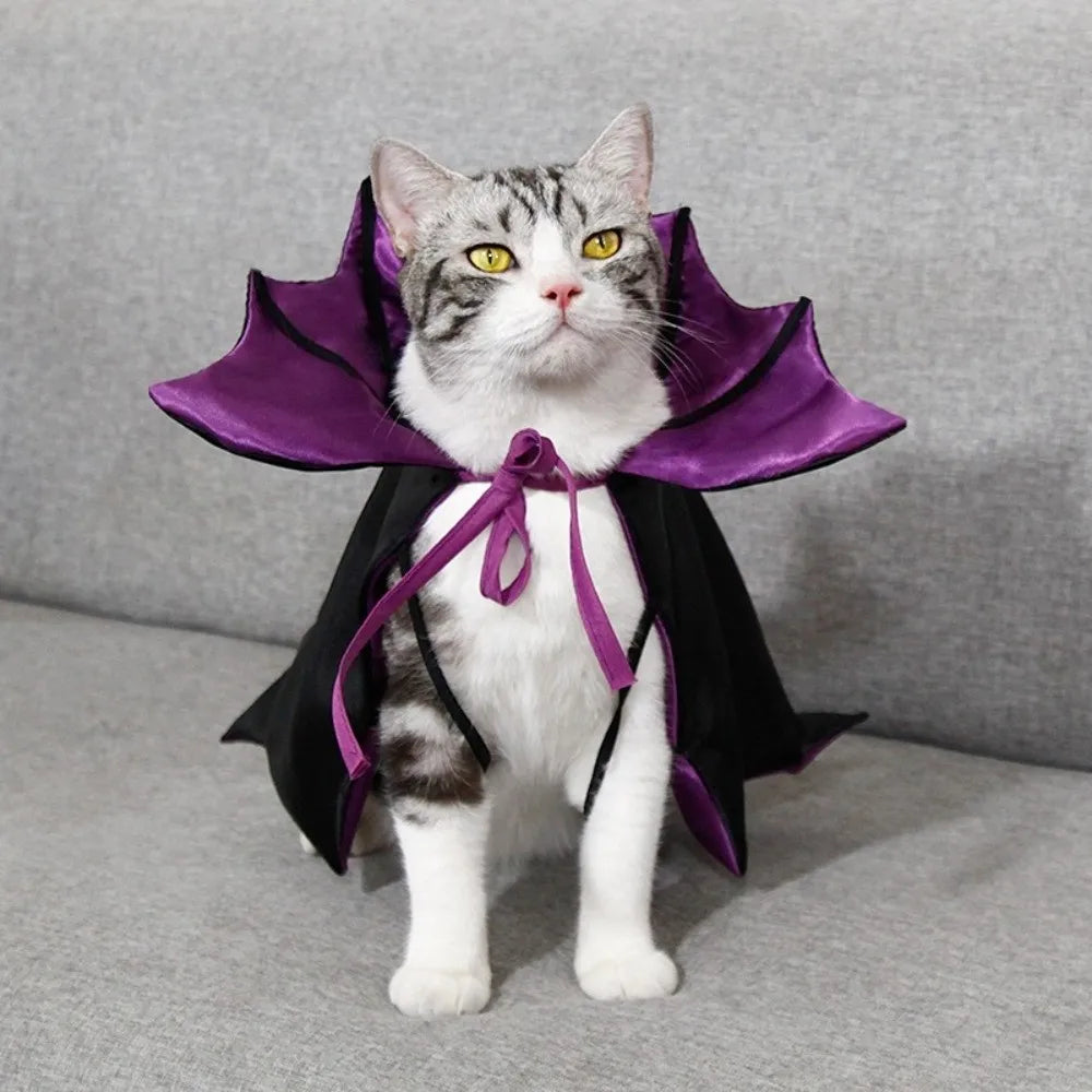 Halloween Cat Costume Bat Cloak