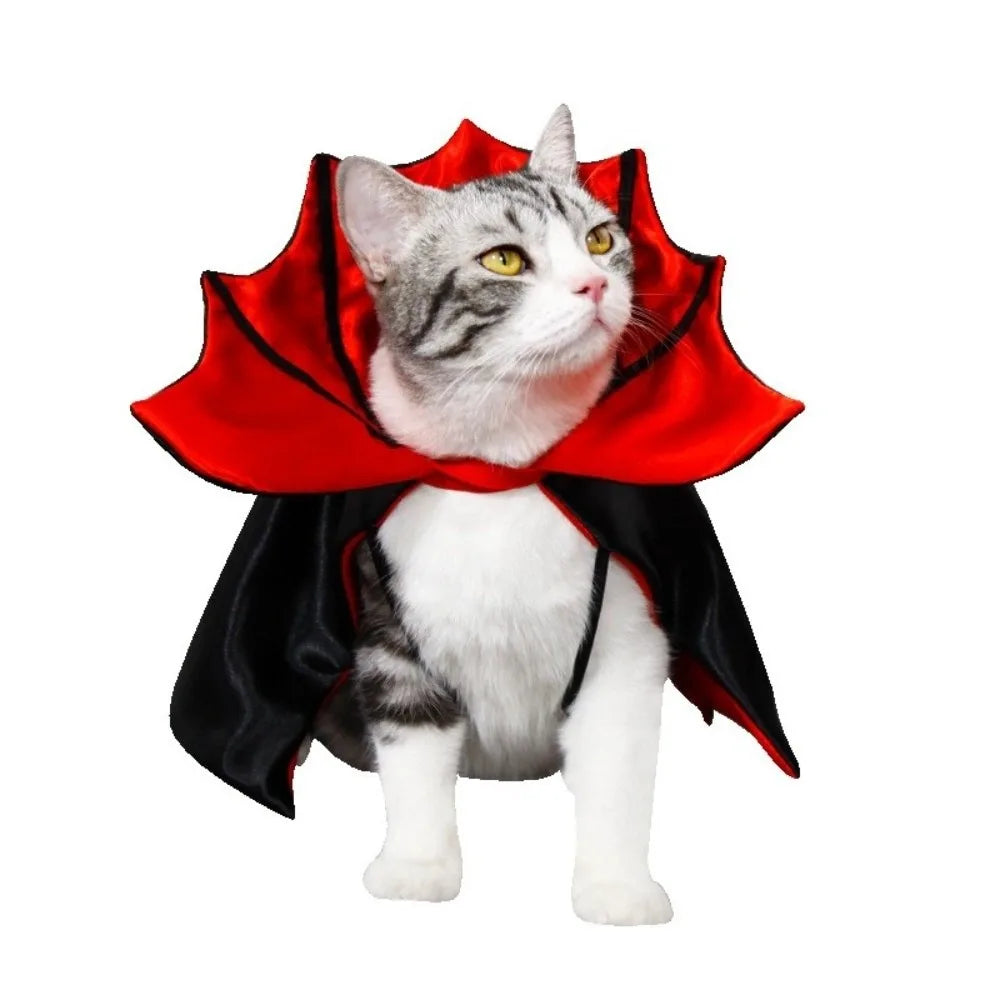 Halloween Cat Costume Bat Cloak