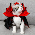 Halloween Cat Costume Bat Cloak