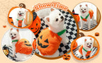 Halloween Pumpkin Dog Costume for Pets