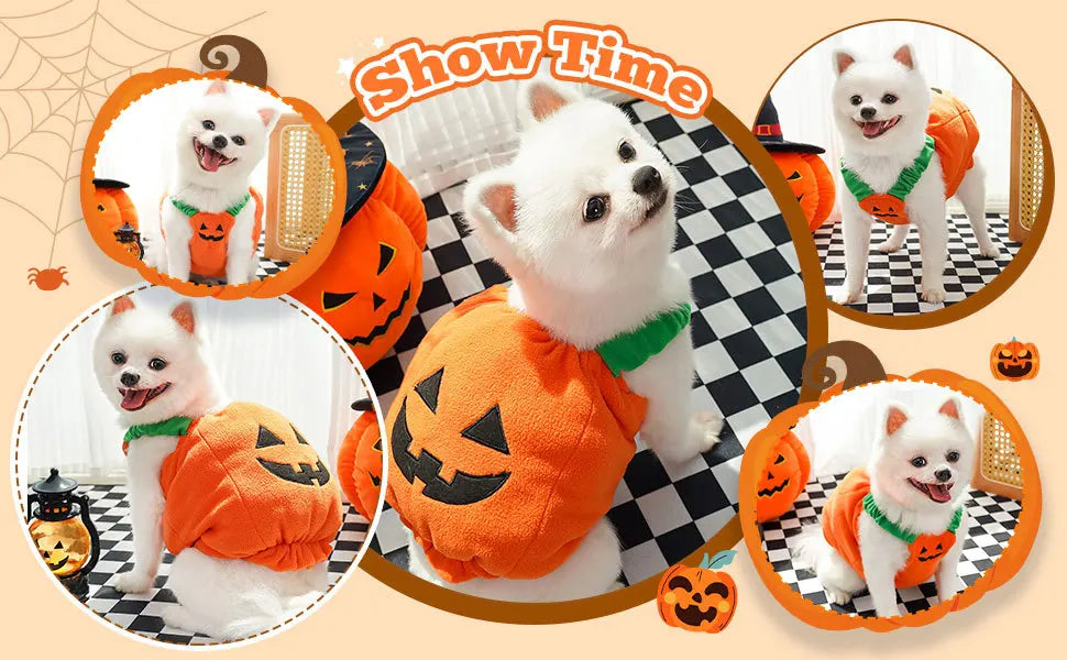 Halloween Pumpkin Dog Costume for Pets