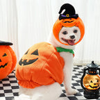 Halloween Pumpkin Dog Costume for Pets