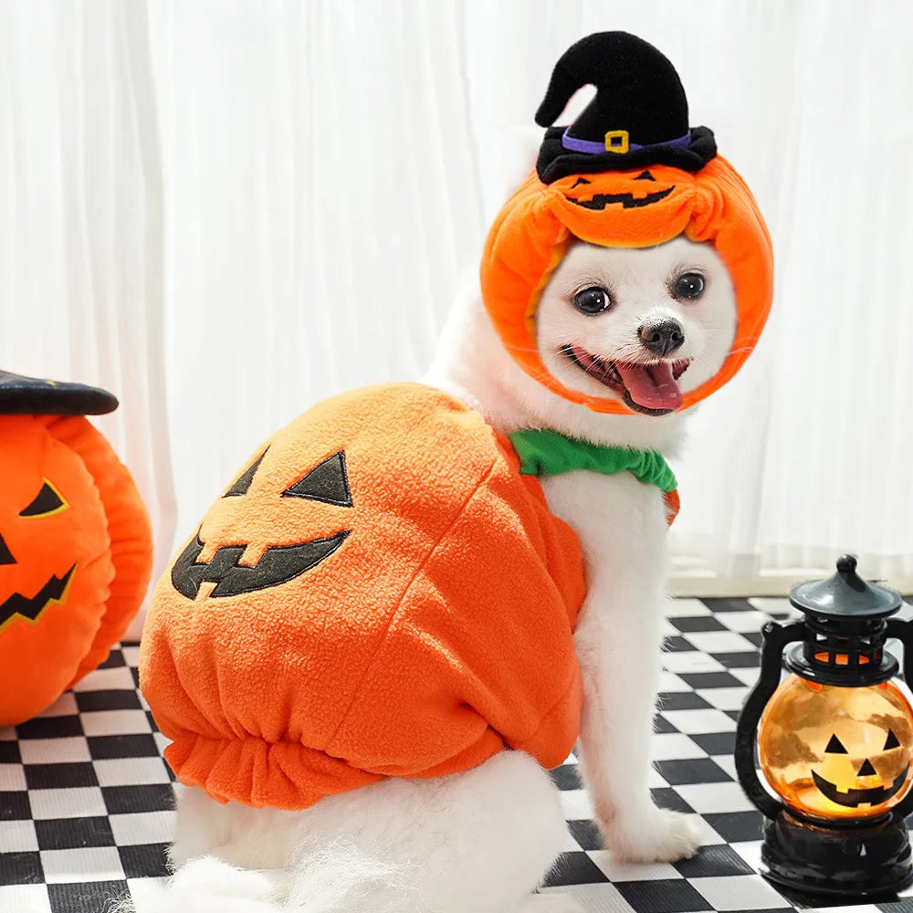 Halloween Pumpkin Dog Costume for Pets