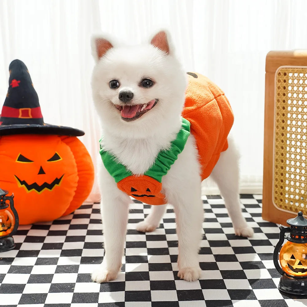 Halloween Pumpkin Dog Costume for Pets