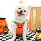 Halloween Pumpkin Dog Costume for Pets