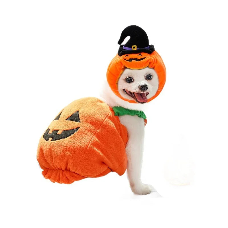 Halloween Pumpkin Dog Costume for Pets