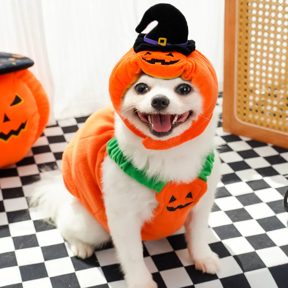 Halloween Pumpkin Dog Costume for Pets