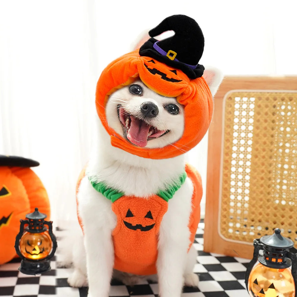 Halloween Pumpkin Dog Costume for Pets