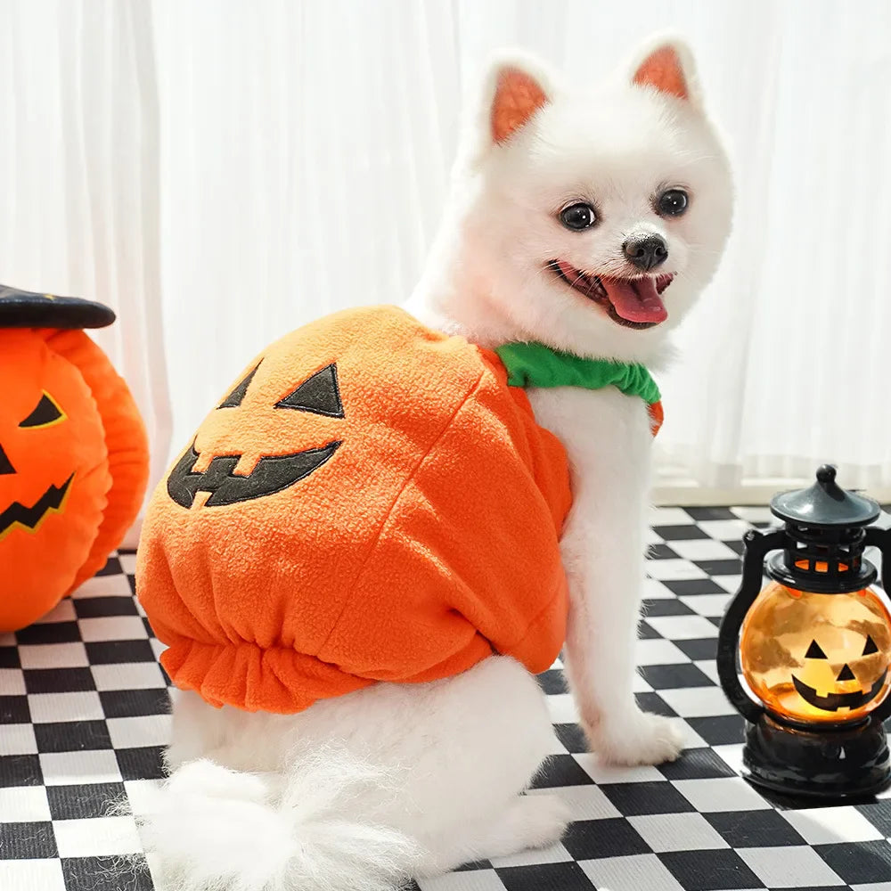 Halloween Pumpkin Dog Costume for Pets