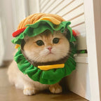Halloween Pet Burger Costume