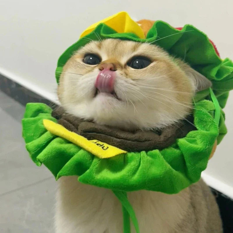 Halloween Pet Burger Costume