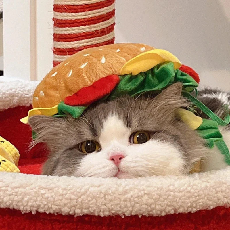 Halloween Pet Burger Costume