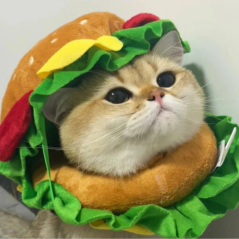 Halloween Pet Burger Costume