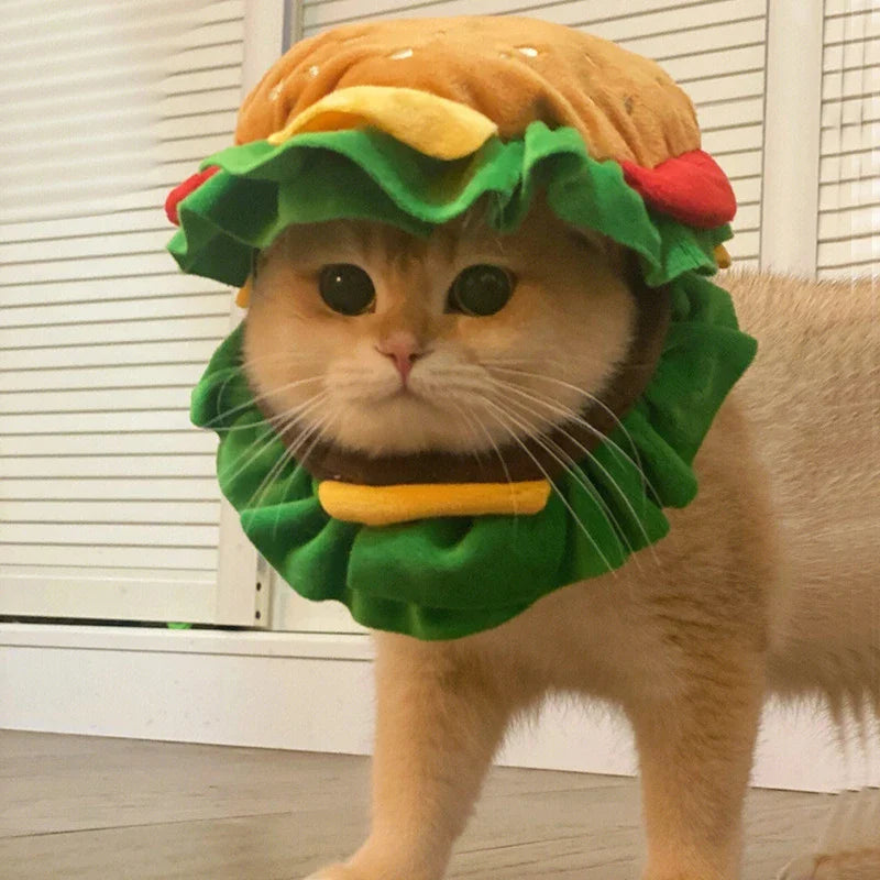 Halloween Pet Burger Costume