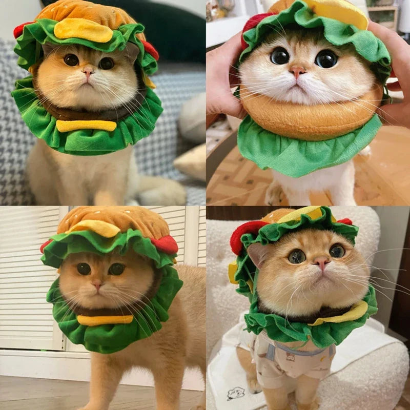 Halloween Pet Burger Costume