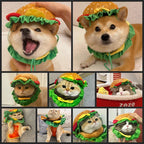 Halloween Pet Burger Costume