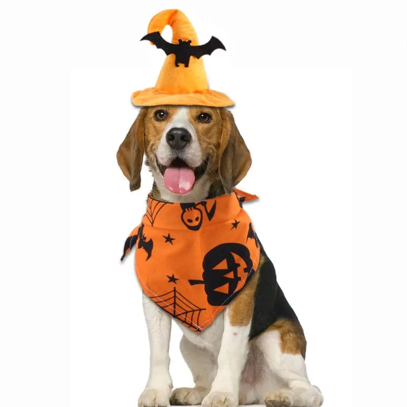 Halloween Dog Costume Set for Pets