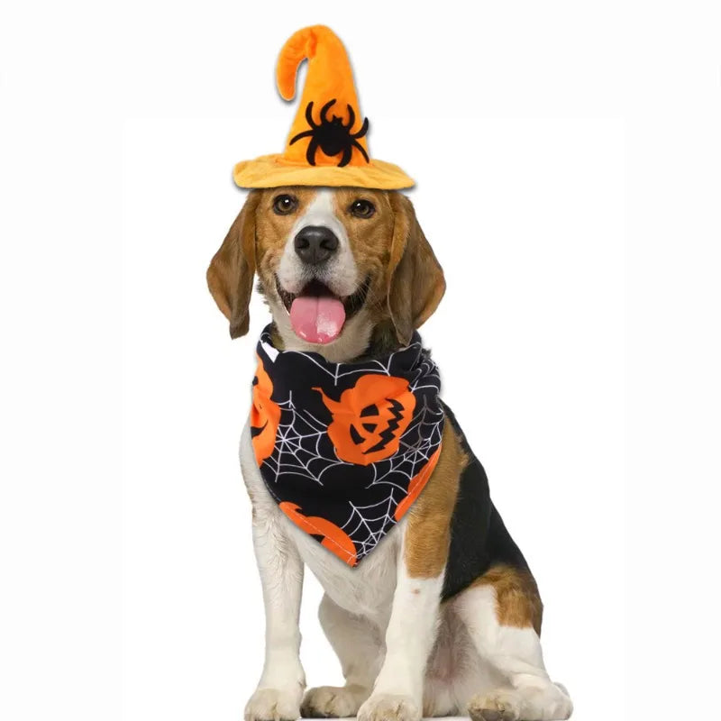Halloween Dog Costume Set for Pets