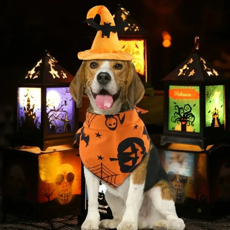 Halloween Dog Costume Set for Pets