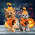 Halloween Dog Costume Set for Pets