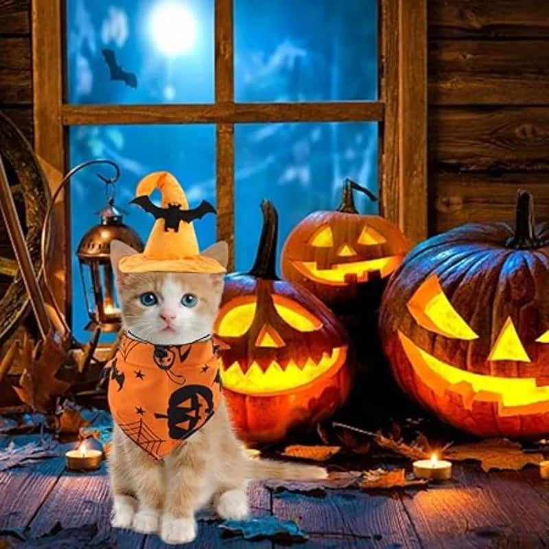 Halloween Dog Costume Set for Pets