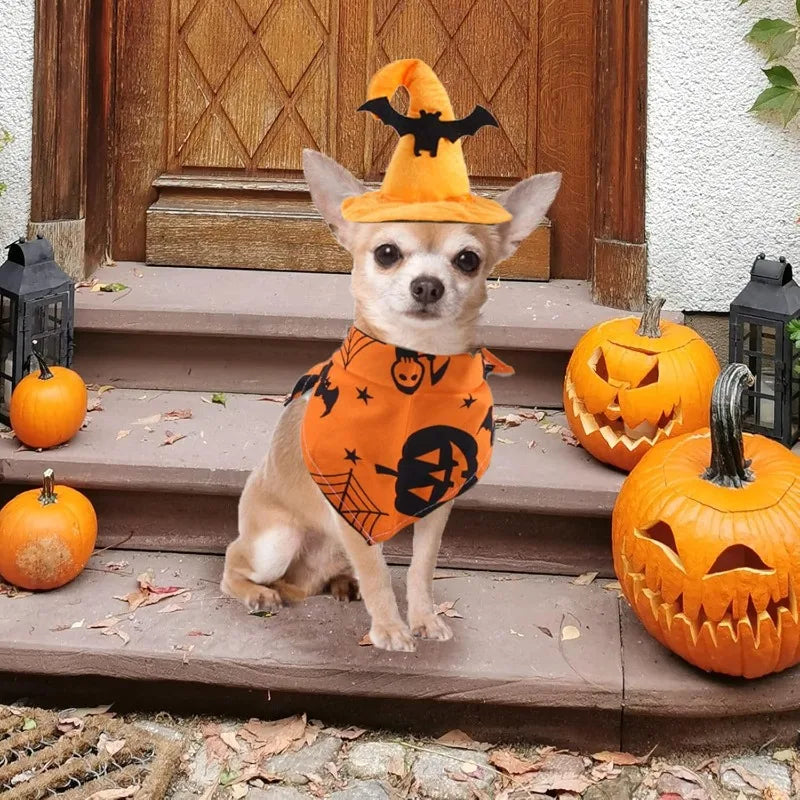 Halloween Dog Costume Set for Pets