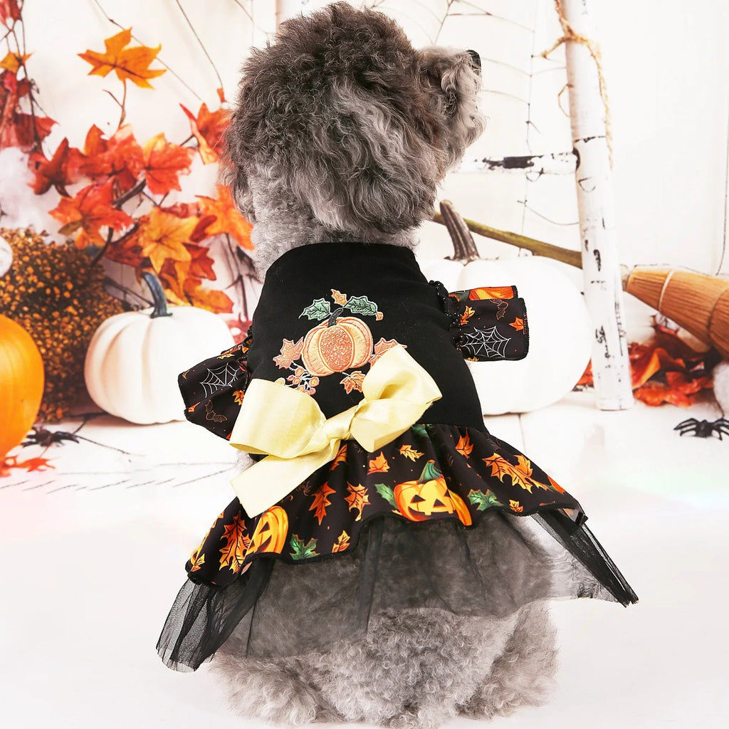 Halloween Pet Costumes for Festive Fun