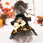Halloween Pet Costumes for Festive Fun