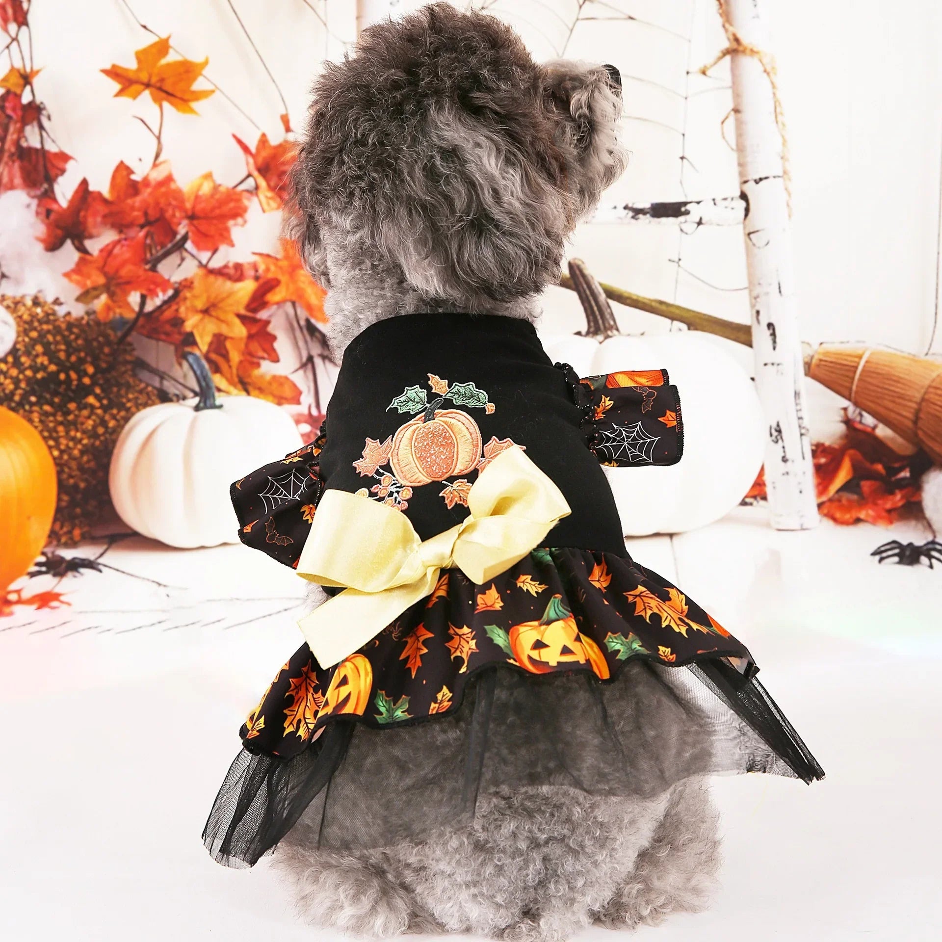 Halloween Pet Costumes for Festive Fun