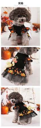 Halloween Pet Costumes for Festive Fun