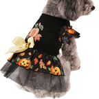 Halloween Pet Costumes for Festive Fun