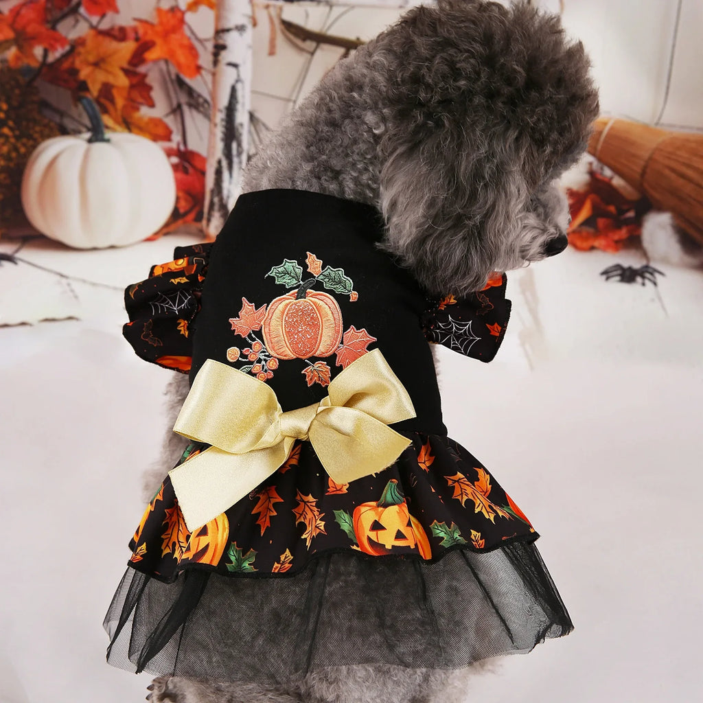 Halloween Pet Costumes for Festive Fun