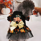 Halloween Pet Costumes for Festive Fun