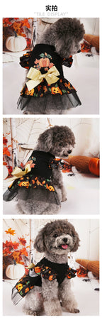 Halloween Pet Costumes for Festive Fun