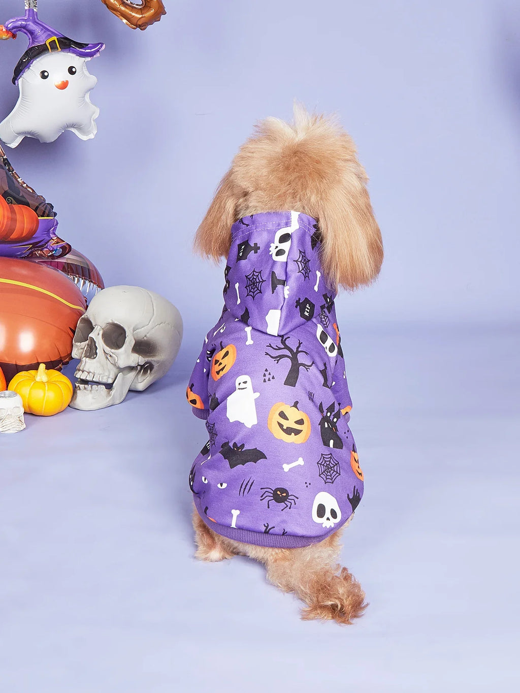 Halloween Dog Costumes for Small Dogs