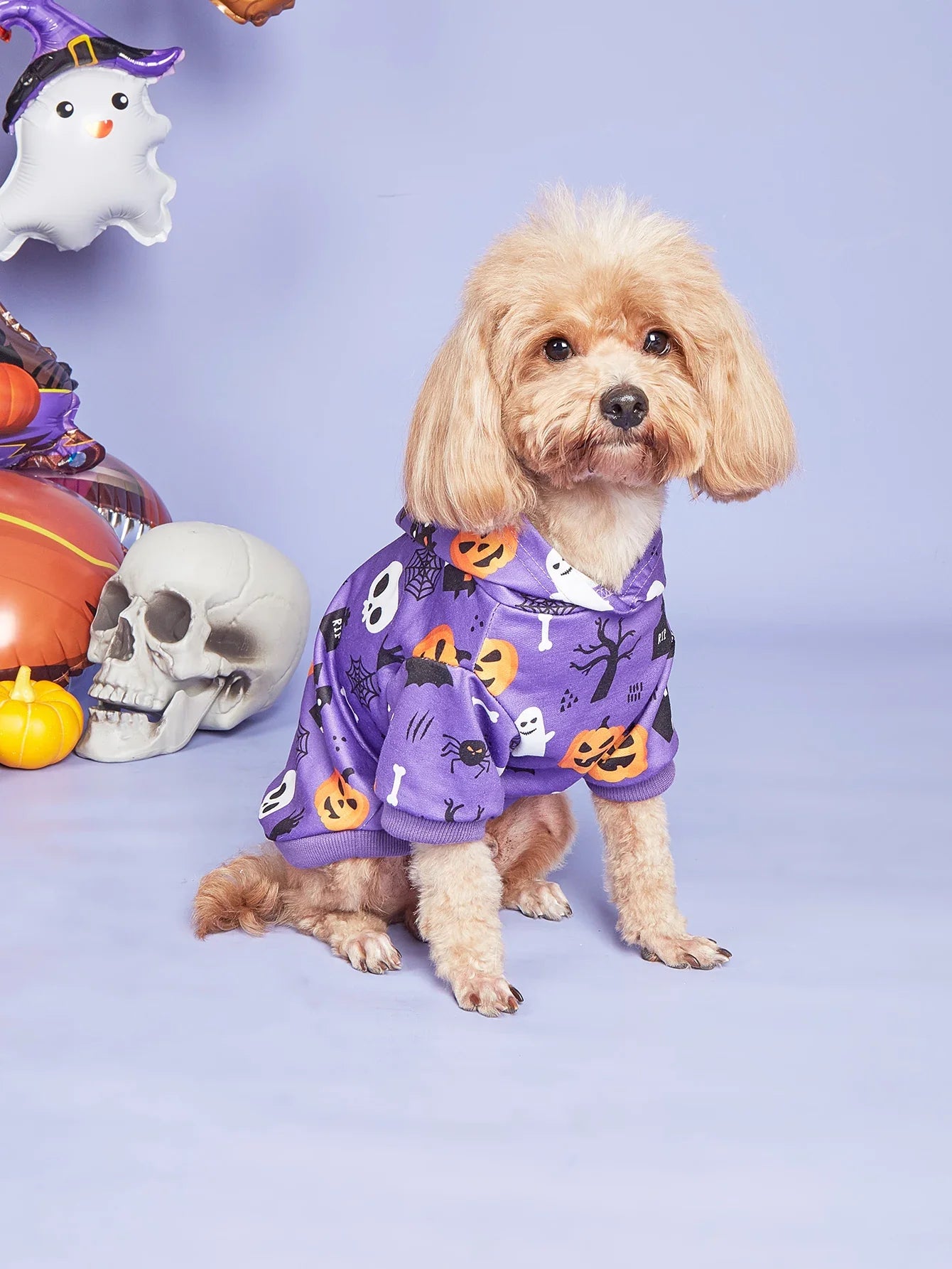 Halloween Dog Costumes for Small Dogs
