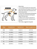 Halloween Dog Costumes for Small Dogs