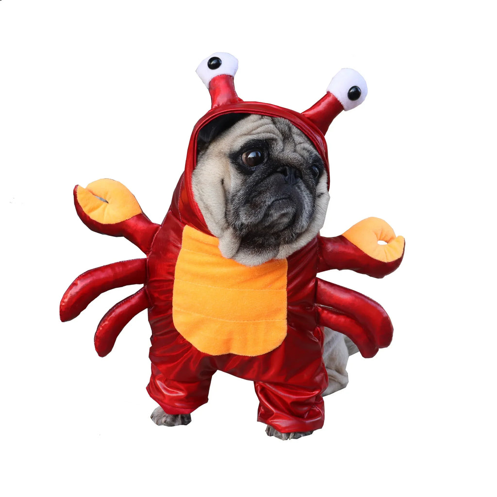 Halloween Dog Crab Costume for Pets