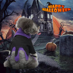 Halloween Dog Witch Costume for Pets