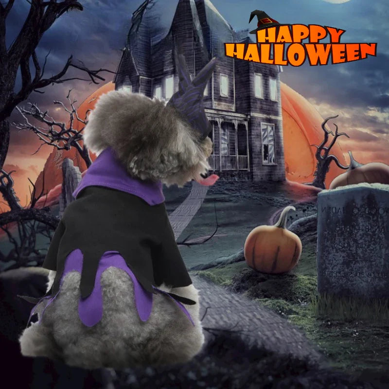 Halloween Dog Witch Costume for Pets