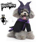 Halloween Dog Witch Costume for Pets