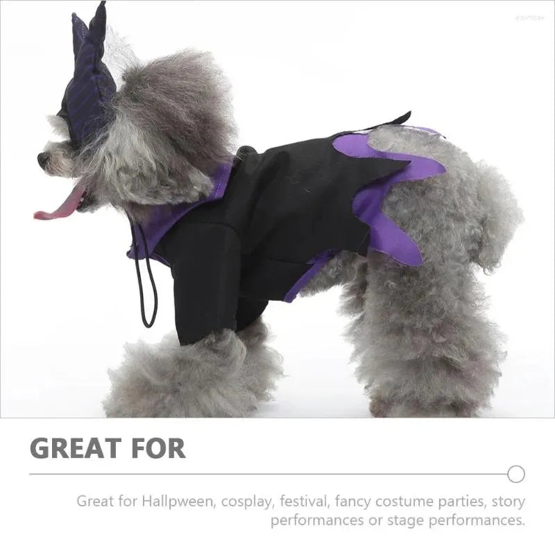 Halloween Dog Witch Costume for Pets