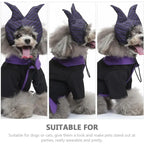 Halloween Dog Witch Costume for Pets