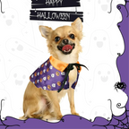 Halloween Pet Costume for Cats and Dogs