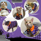 Halloween Pet Costume for Cats and Dogs