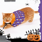 Halloween Pet Costume for Cats and Dogs